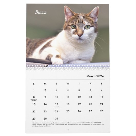 De kalender van de Plaats van de tablet (Mar 2026)