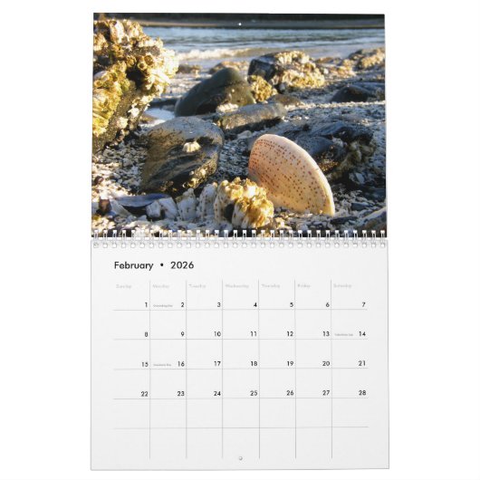 De kalender van de rand van het water (Feb 2026)