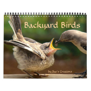 De Kalender van de Vogels van de binnenplaats