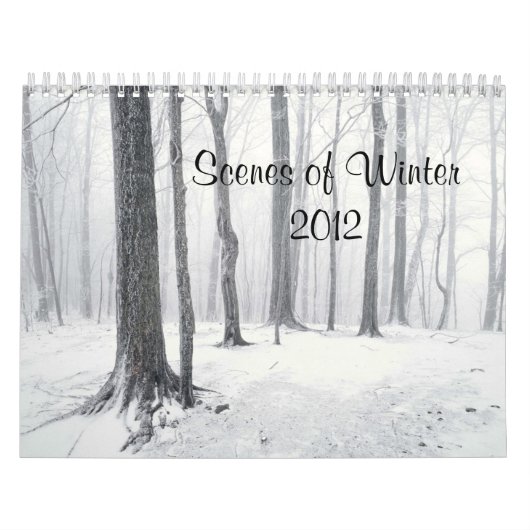 De kalender van de winter 2012 (Hoes)
