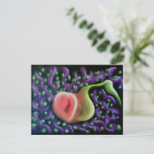 De kalender van de ziel 37 Briefkaart (Staand voorkant)