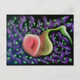 De kalender van de ziel 37 Briefkaart