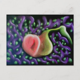 De kalender van de ziel 37 Briefkaart