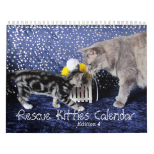 De Kalender van het Kat van de redding - Uitgave 4