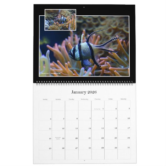 De kalender van het koraalrif (Jan 2026)