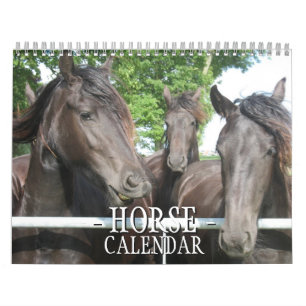 De Kalender van het paard