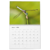 De Kalender van insecten (Mar 2026)