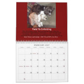 De kalender van Joyful Springer 2014 (Feb 2027)