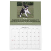 De kalender van Joyful Springer 2014 (Mar 2027)