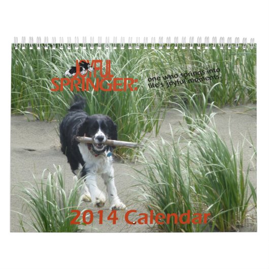 De kalender van Joyful Springer 2014 (Hoes)