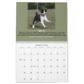 De kalender van Joyful Springer 2014 (Mar 2026)
