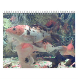 De Kalender van Koi van vissen