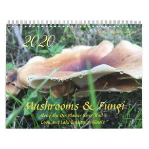 De Kalender van paddestoelen & van Paddestoelen