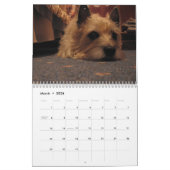De Kalender van Terrier 2010 van de steenhoop (Mar 2026)