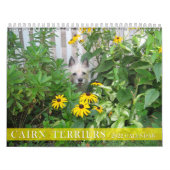 De Kalender van Terrier 2010 van de steenhoop (Hoes)