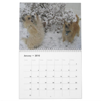 De Kalender van Terrier 2010 van de steenhoop