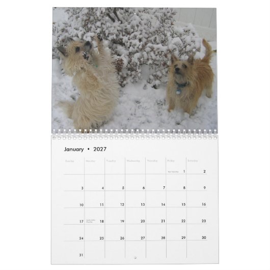 De Kalender van Terrier 2010 van de steenhoop (Jan 2027)