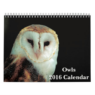 De Kalender van uilen 2016
