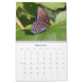 De Kalender van vlinders 2011 (Mar 2027)