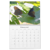 De Kalender van vlinders 2011 (Feb 2027)