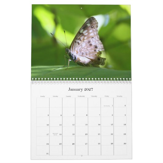 De Kalender van vlinders 2011 (Jan 2027)