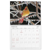 De Kalender van vogels met Grote Aantallen (Feb 2027)