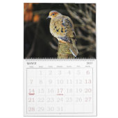 De Kalender van vogels met Grote Aantallen (Mar 2027)