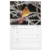 De Kalender van vogels met Grote Aantallen (Feb 2026)