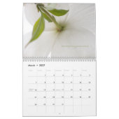 De kalender voor het leven van 2010 (Mar 2027)