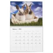 De kalender WildRescue 2013! (Feb 2026)
