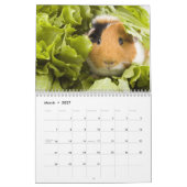 De kalender WildRescue 2013! (Mar 2027)