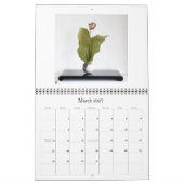De kalender Zen-Afbeeldingen 2009 (Mar 2027)