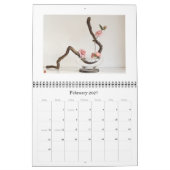 De kalender Zen-Afbeeldingen 2009 (Feb 2027)