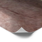 De kalm poster (Hoek)