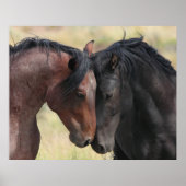 De kalm poster (Voorkant)