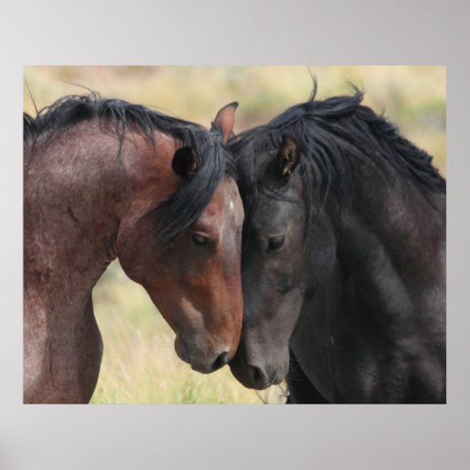 De kalm poster (Voorkant)