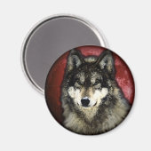 De kalme wolf magneet (Voorkant / Achterkant)