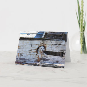 De Kameraadschappelijke kaart van Ahoy