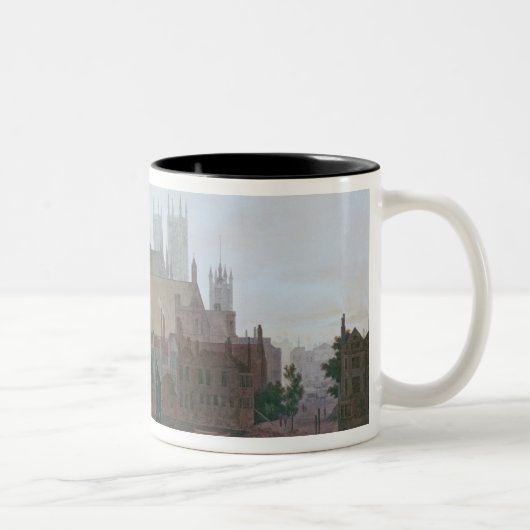 De Kamers van het Parlement Tweekleurige Koffiemok (Rechts)