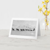 De Kampioenen Alaska 1910 van de Slee van de hond Kaart (Gele Bloem)