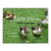DE *KANADAGANSEN* - *EENDJES* STALING 2026 KALENDER (Hoes)