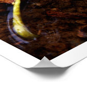 de kandidaat poster (Hoek)