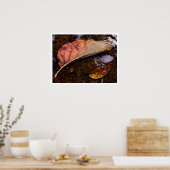 de kandidaat poster (Keuken)