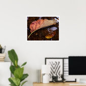 de kandidaat poster (Thuiskantoor)