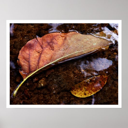 de kandidaat poster (Voorkant)