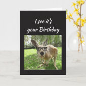 De Kangoeroe van de pret juicht de Australische Kaart (Gele Bloem)