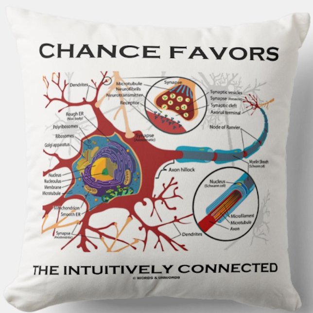 De kans is gunstig voor de intuïtieve verbinding ( kussen (Neuron/synapse throw pillow for anyone who believes that chance favors the intuitively connected)