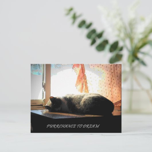 DE KANS OM TE DROMEN BRIEFKAART (Staand voorkant)