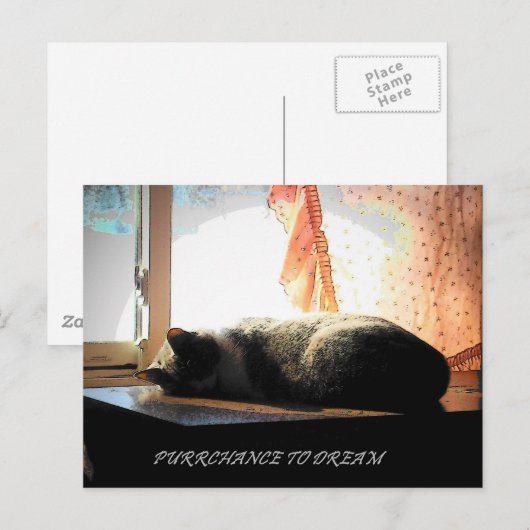 DE KANS OM TE DROMEN BRIEFKAART (Voorkant / Achterkant)