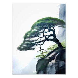 De kansen trotseren: Bonsai Tree on the Cliff Foto Afdruk